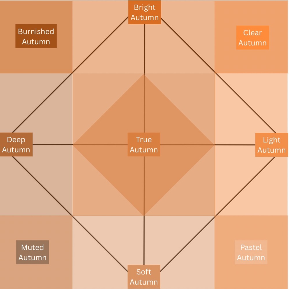 Shades of You Color Analysis - Picture 4 of 4